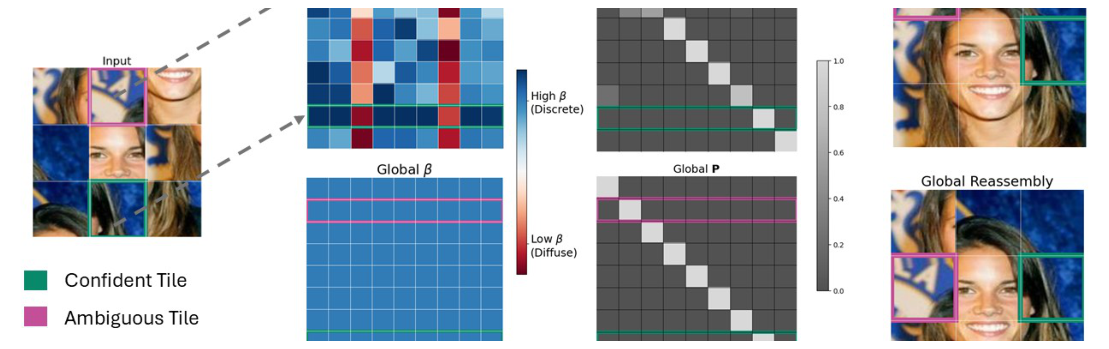 Entropy-adaptive permutation learning figure from the paper